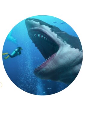Arly megalodon